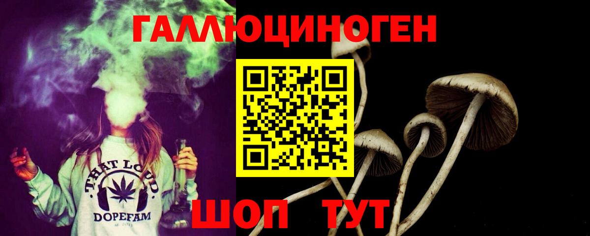 Псилоцибиновые грибы Cubensis  купить наркотик  Мирный  Вход с VPN 